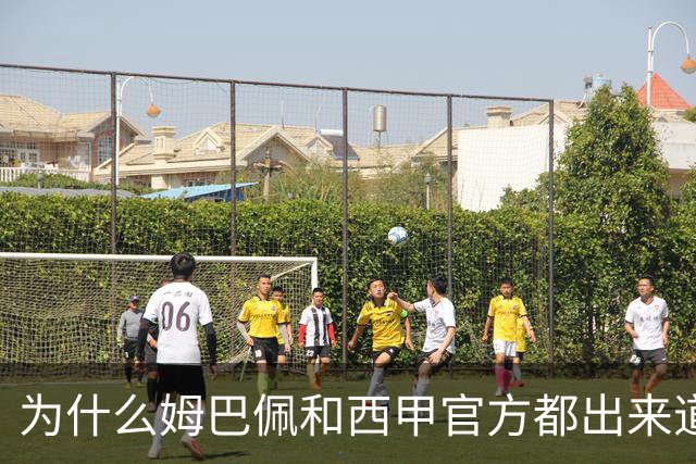 为什么姆巴佩和西甲官方都出来道歉了，是因为央视做出决定后，西甲联盟主席给央视发了函，进行了道歉