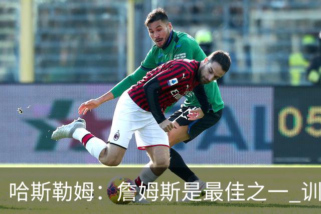 哈斯勒姆：詹姆斯是最佳之一 训练中他能让全队包括韦德都看呆
