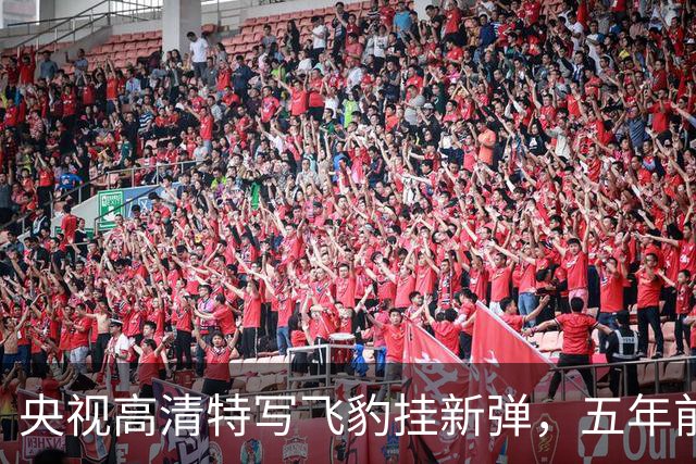 央视高清特写飞豹挂新弹，五年前传的东西这回坐实了