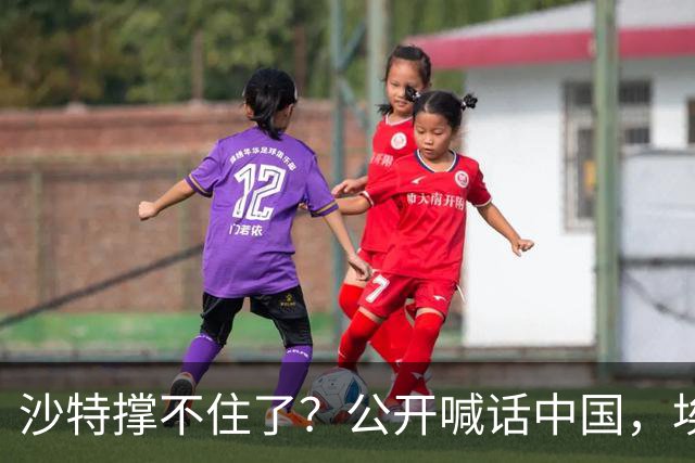 沙特撑不住了？公开喊话中国，埃及准备下场参战？也门立刻放狠话