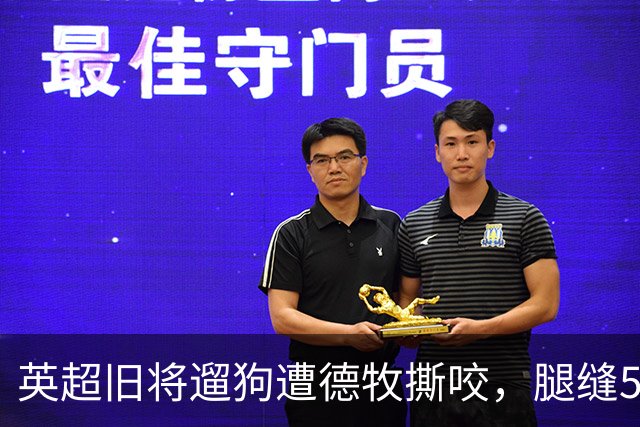 英超旧将遛狗遭德牧撕咬，腿缝50多针，最后是自家狗救了他一命