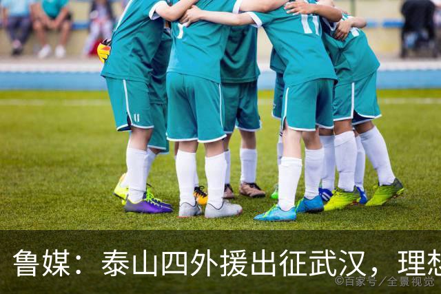鲁媒：泰山四外援出征武汉，理想情况下泽卡能在与蓉城比赛复出