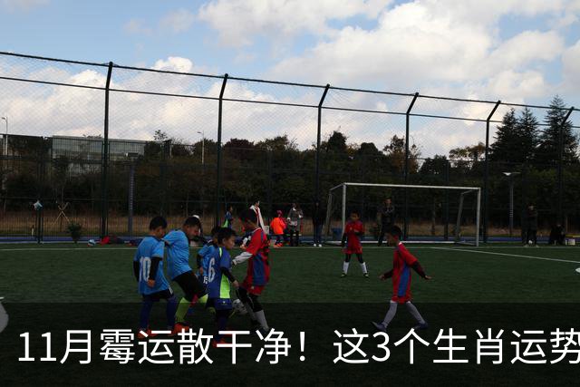 11月霉运散干净！这3个生肖运势提升一大截，机会挨个上门